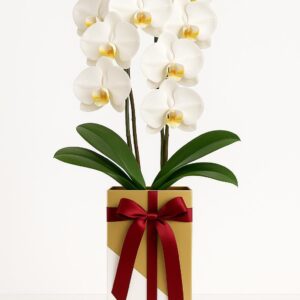 Medium-size White & Gold Orchid Gift Box