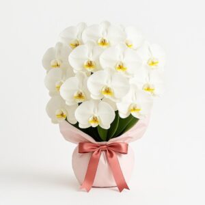 Medium-size Orchid Bouquet in Blush Pink Wrap