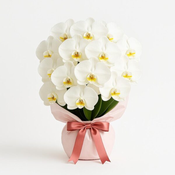 Medium-size Orchid Bouquet in Blush Pink Wrap