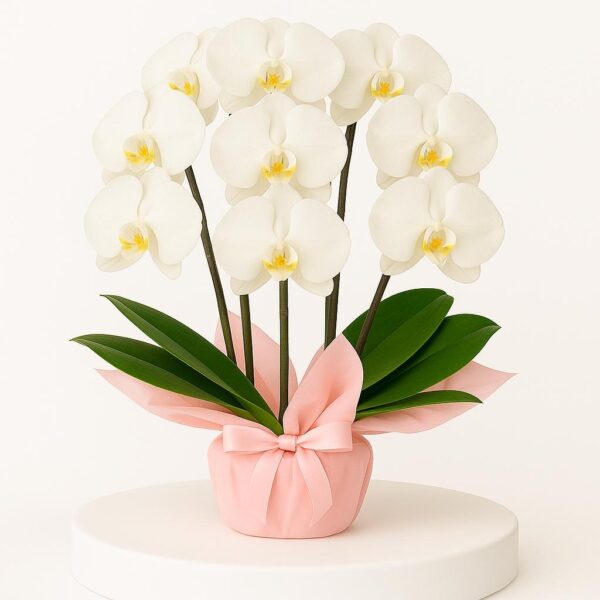 Medium Orchid Wrap with Satin Bow