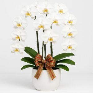 Medium-size White Vase with Festive Ribbon Accent