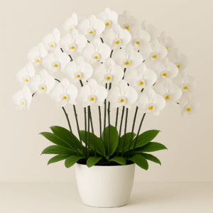 Large-size White Vase with 5 Orchid Stems