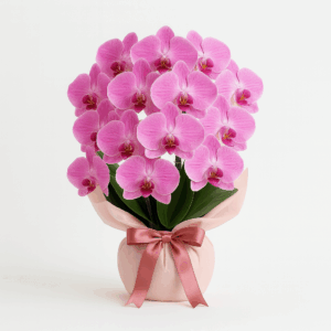 Medium-size Pink Orchid Bouquet in Satin Wrap