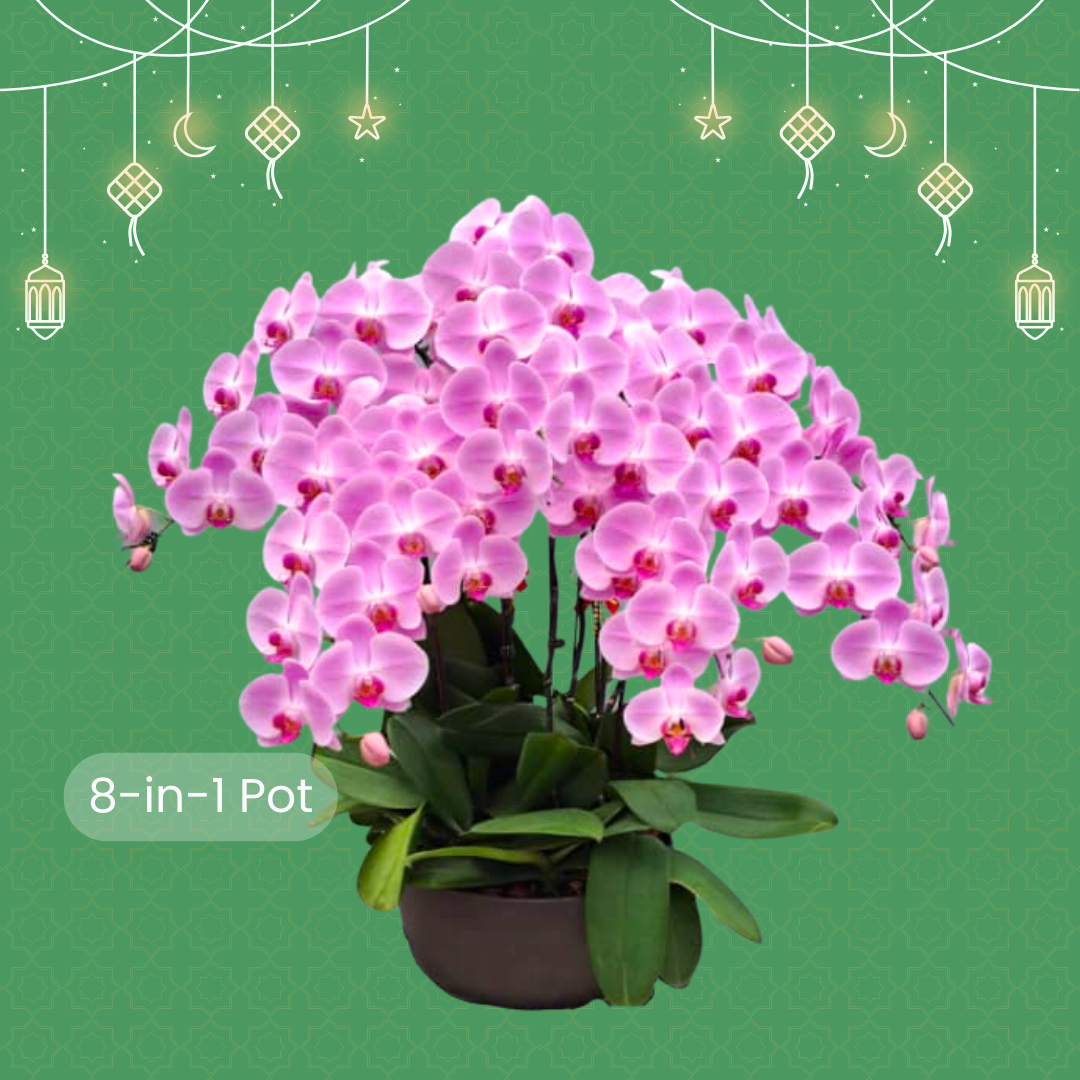 Raya Bloom ’26 - Image 6